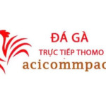 Đá Gà Trực Tiếp Thomo Hôm Nay Profile Picture