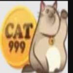 cat999 kim Profile Picture