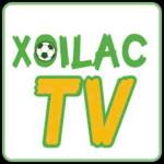 xoilactvad Profile Picture