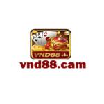 Cổng game VND88 Profile Picture