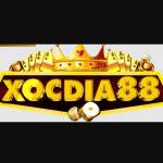 Xocdia88 Cổng game Profile Picture