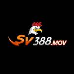 SV388 Mov Profile Picture