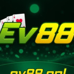 Ev88 Profile Picture