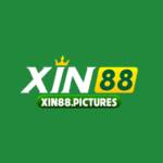 xin88 pictures Profile Picture