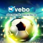 Vebo TV Trực Tiếp Bóng Đá Profile Picture