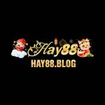 HAY88 BLOG Profile Picture