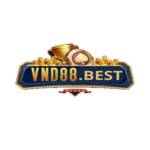 Cổng game VND88 Profile Picture