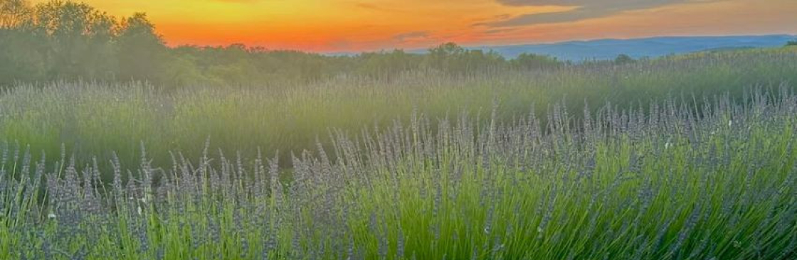 Pearson Farm Cover Image