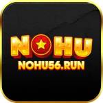 Nohu56 Run Profile Picture