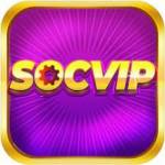 Socvip Design Profile Picture