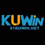 kuwin net Profile Picture