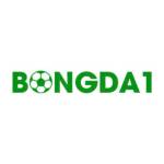 bongda1 com Profile Picture