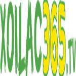 xoilac Tv Profile Picture