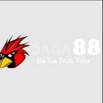 88 DAGA88 Profile Picture