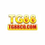 tg88co com Profile Picture