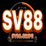 Sv88 Gripe Profile Picture