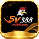 Ssv3881 Com Profile Picture