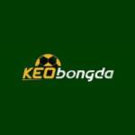Kèo Bóng Đá Profile Picture