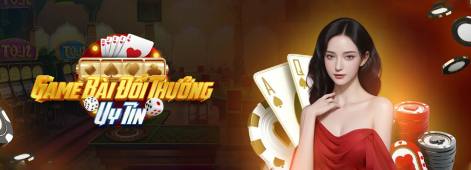 gamebaidoithuonguytin la Cover Image