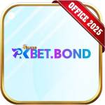 pkbet bond profile picture