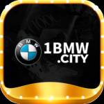 1BMW City Profile Picture