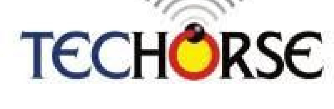 Techorse Cover Image