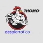ĐÁ GÀ THOMO TRỰC TIẾP profile picture
