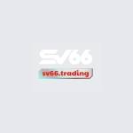 SV66 TRADING Profile Picture