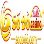 Sodo66 Profile Picture
