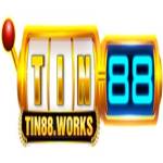 TIN88 WORKS Profile Picture