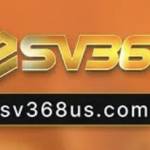 Nhà đài Sv368 Profile Picture