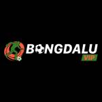Bongdaluvip1 Net Profile Picture