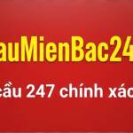 Soi cầu miền Bắc Profile Picture