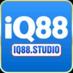 IQ88 Profile Picture