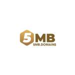 5MB DOMAINS Profile Picture