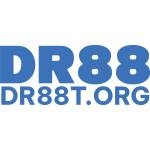 Dr88 Dr88 Profile Picture