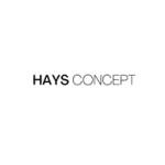 haysconcept Profile Picture