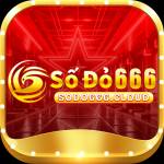 sodo666 sodo666 Profile Picture