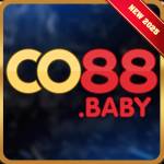 co88 baby Profile Picture