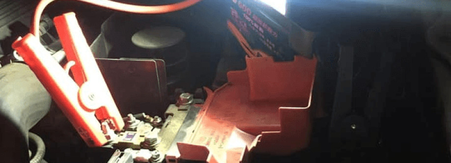 ẮC QUY GIA Cover Image